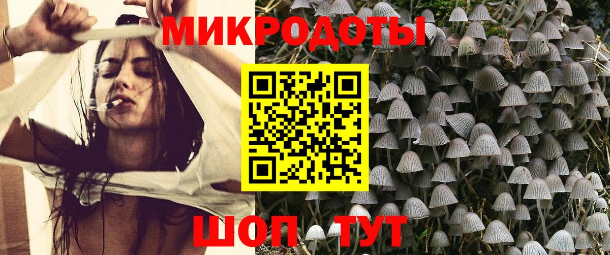 Галлюциногенные грибы Cubensis  Вход с VPN  Острогожск 